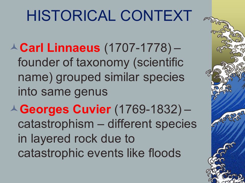 Linnaean taxonomy